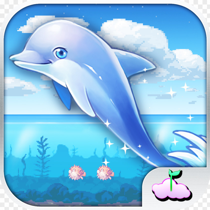 Android Common Bottlenose Dolphin Wholphin Show Infinite Runner Tucuxi Speed Racing Game PNG