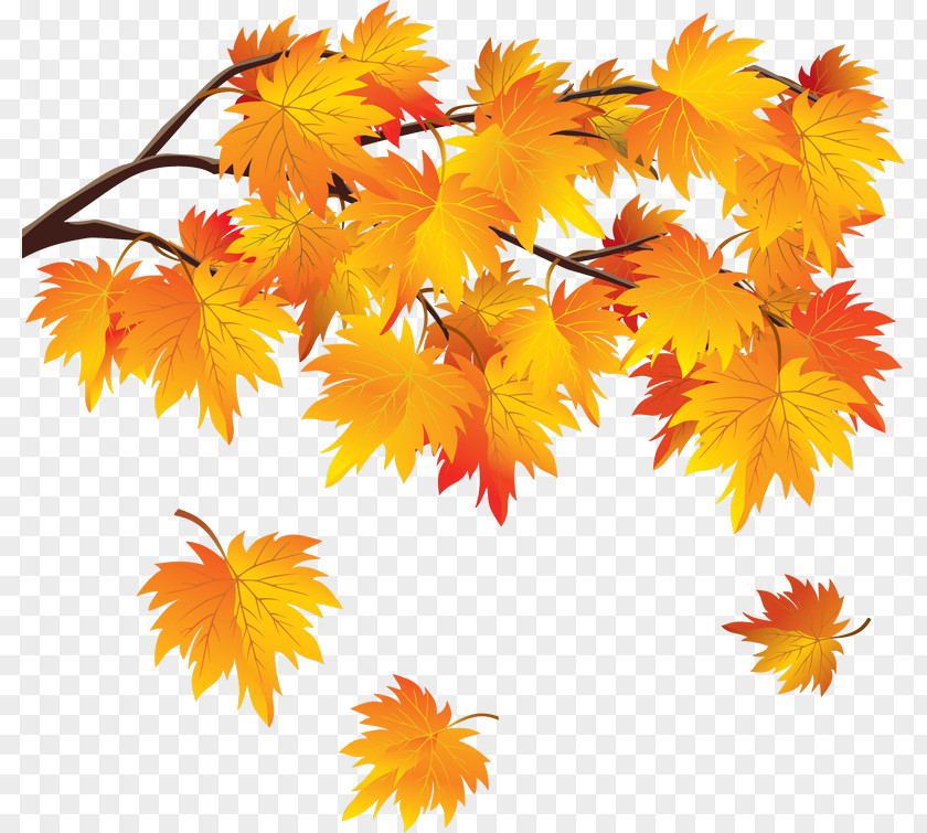 Autumn Desktop Wallpaper Leaf PNG