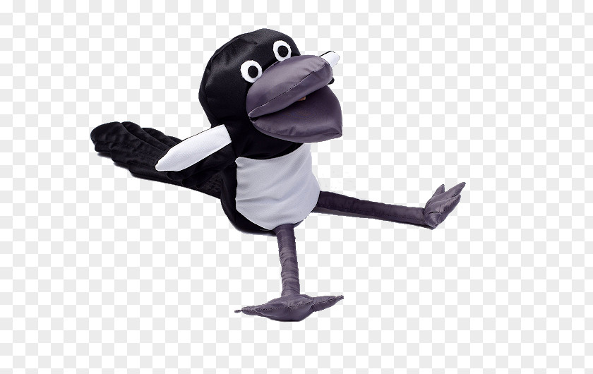 Bird Goose Cygnini Beak PNG