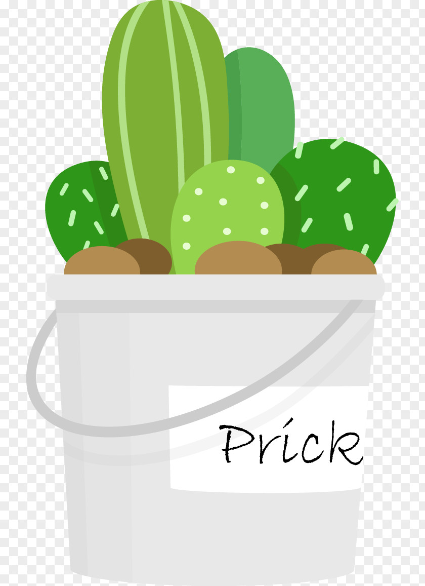 Cartoon Fresh Cactus Flat Cactaceae Clip Art PNG
