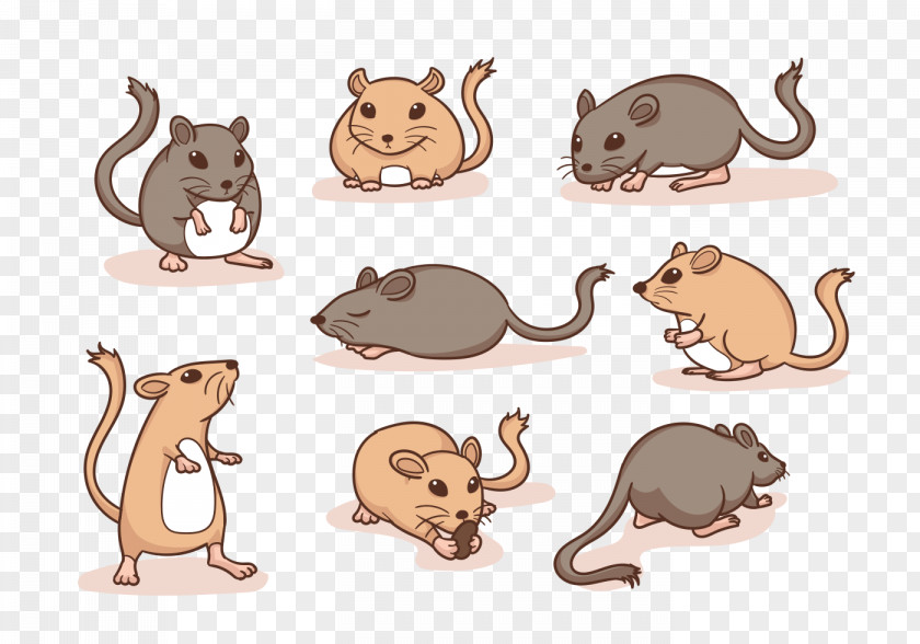 Cat Rat Mouse Gerbil Hamster PNG