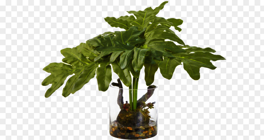 Flowerpot Plant Flower Leaf Houseplant PNG