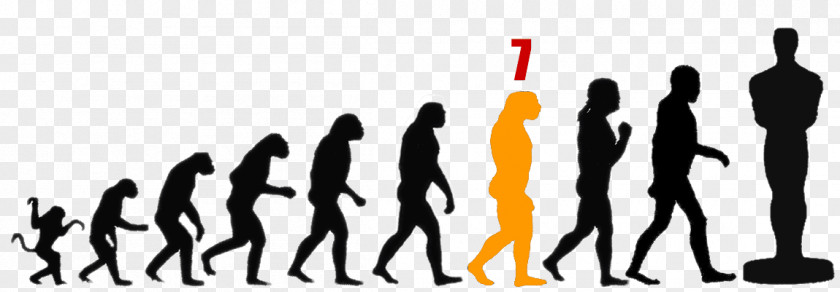 Human Evolution Europe Darwinism Homo Sapiens PNG