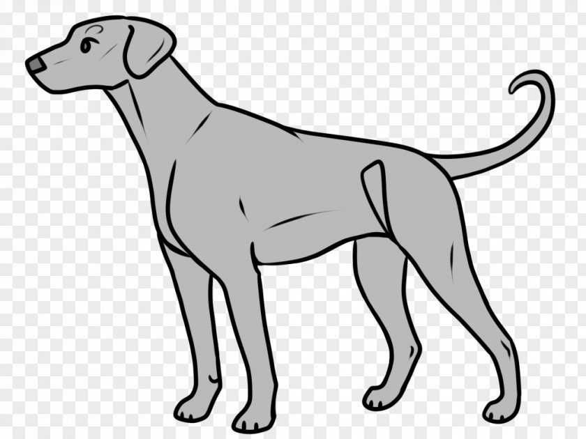 Snout Sporting Group Dog White Line Art PNG