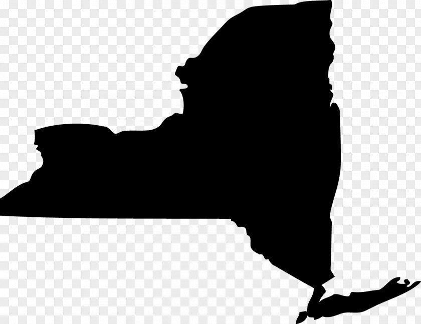 States Vector New York City Court Organization Law Service Of Process PNG