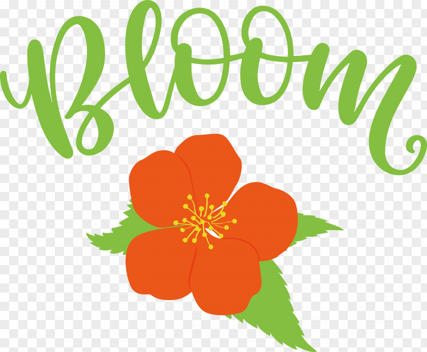 Bloom Spring Flower PNG