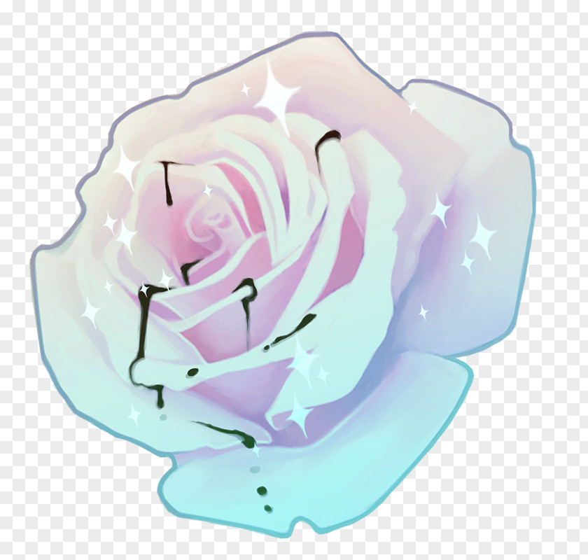 Flamboyant Garden Roses Cabbage Rose Cut Flowers Petal Pink M PNG