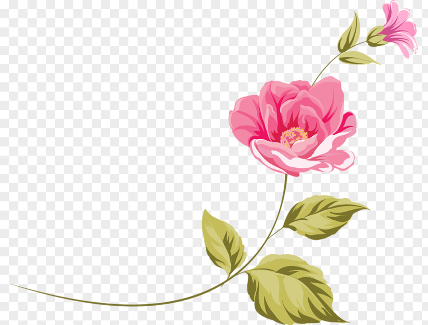 Flower Floral Design Clip Art PNG