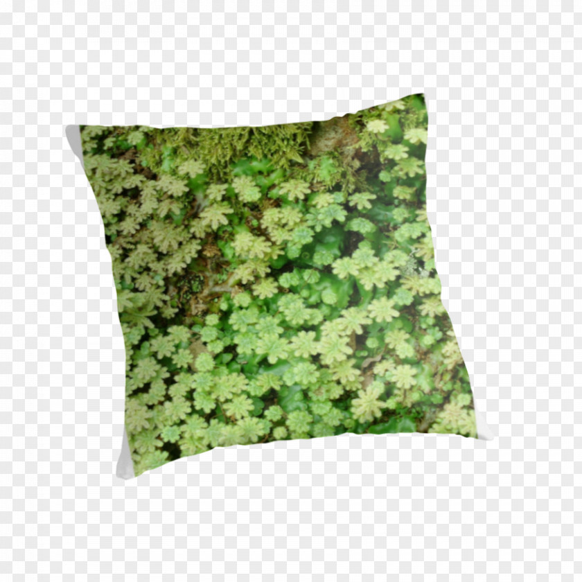 Green Pillow Throw Pillows Cushion Camouflage PNG