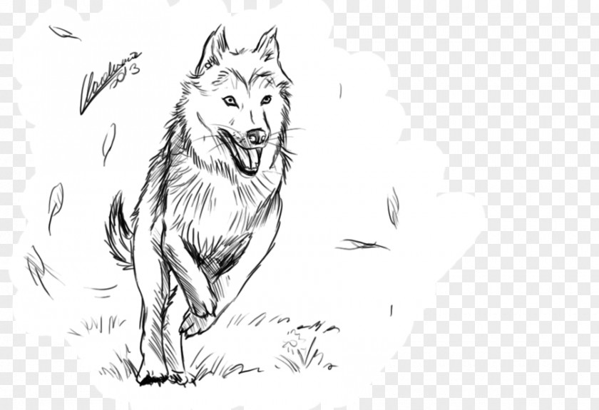 Husky Drawing Red Fox Gray Wolf Line Art Whiskers Sketch PNG