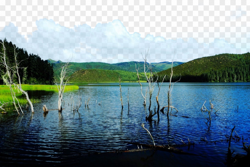 Beautiful Pudacuo Forest Park Potatso National Lake District U067eu0627u0631u06a9 U062cu0646u06afu0644u06cc Loch PNG