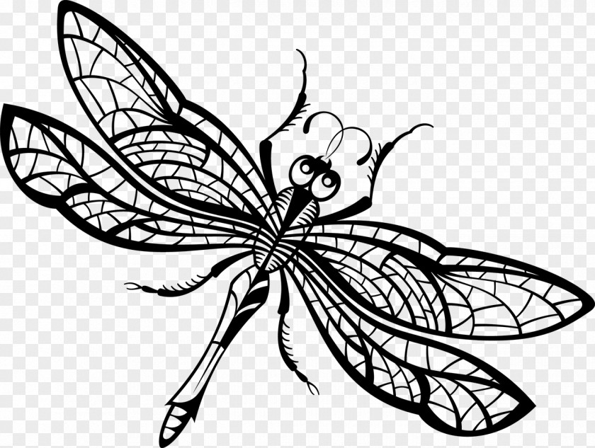 Drawing Dragonfly Insect PNG