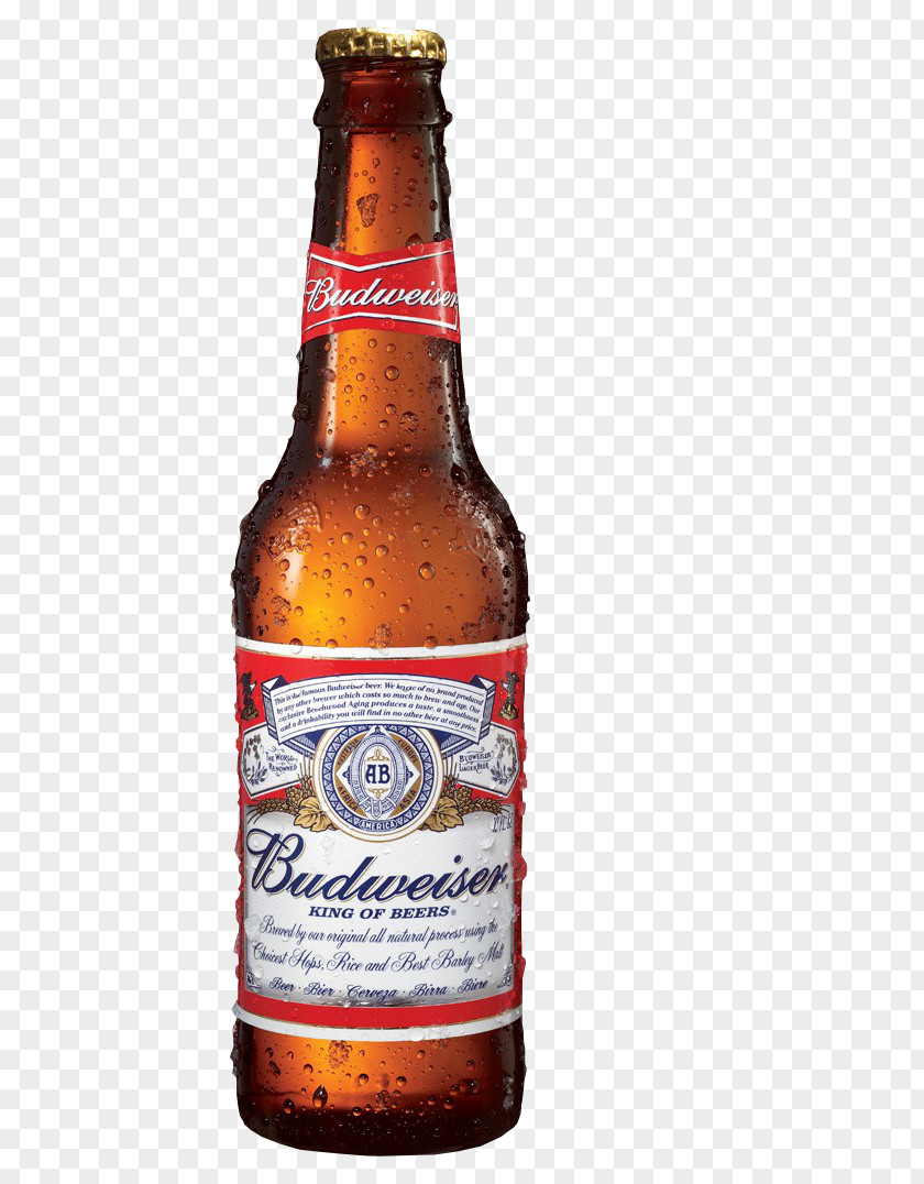 Garrafa Cerveja Budweiser Beer Anheuser-Busch Lager United States PNG