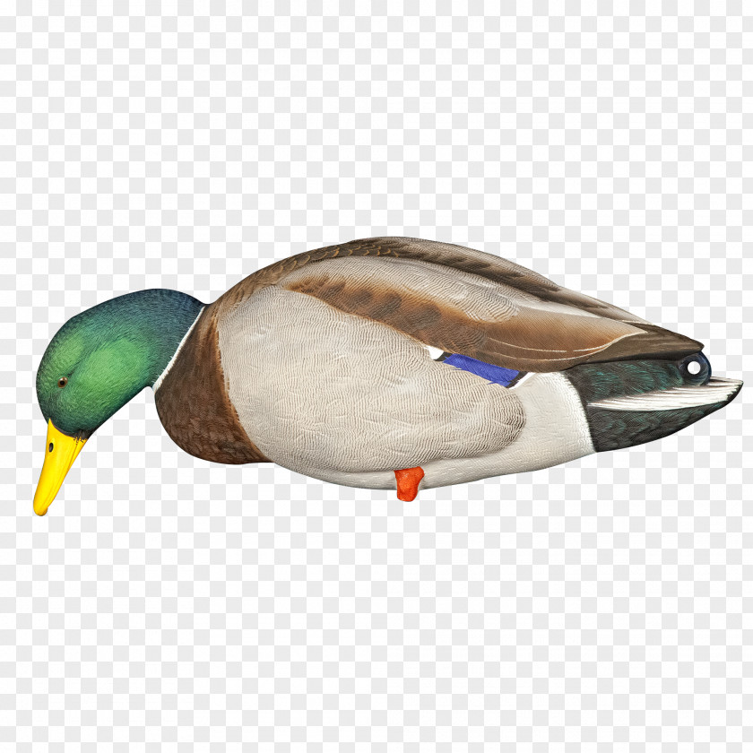 Goose Mallard Duck Decoy PNG