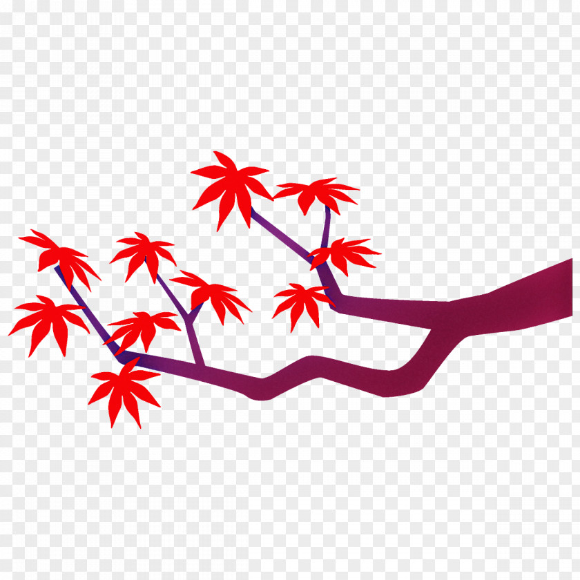 Maple Branch Leaves Autumn Tree PNG