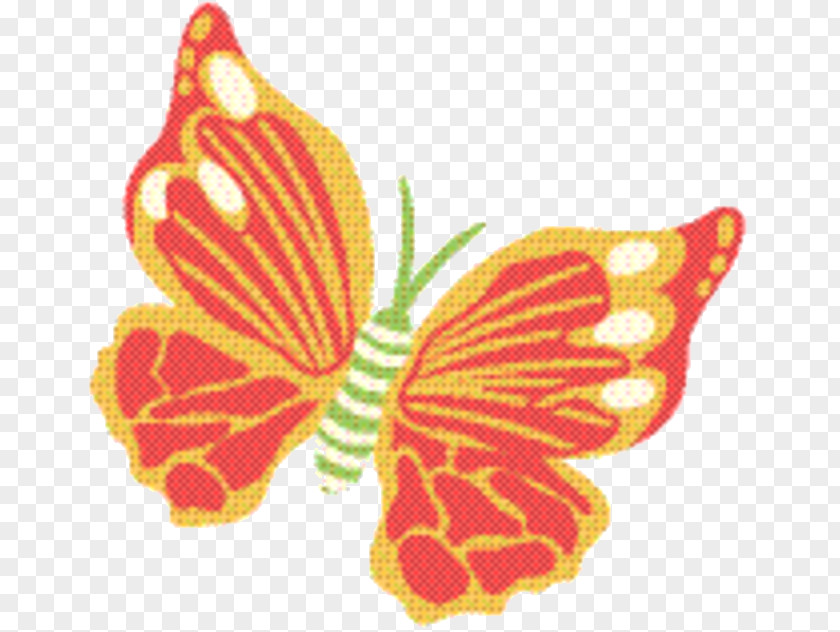 Plant Insect Monarch Butterfly PNG