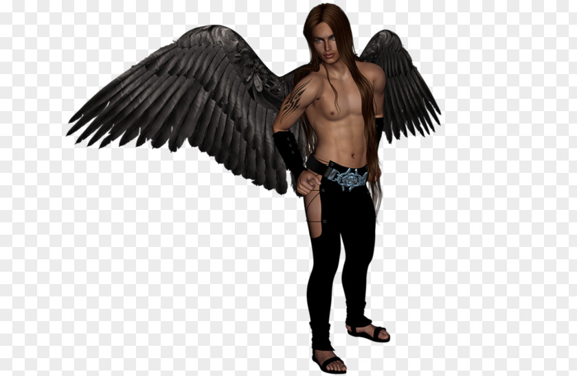 Shoulder Costume Angel M PNG