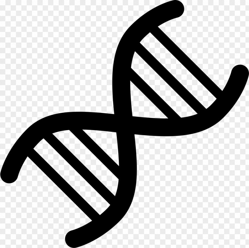 Vector Genetics DNA PNG