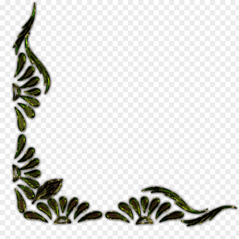 Border Line Ornament Flower Clip Art PNG