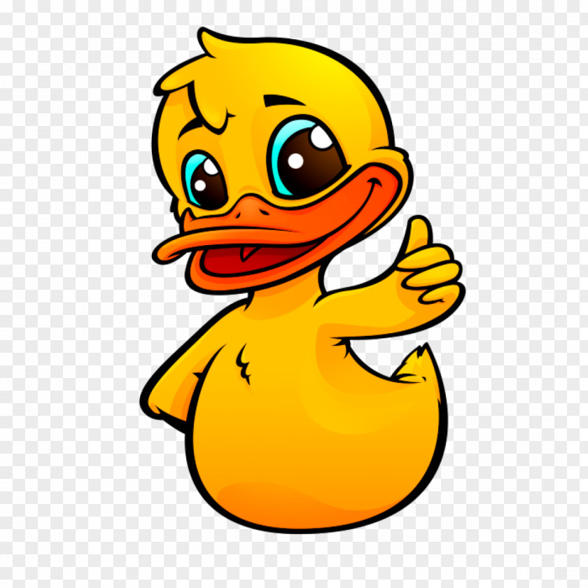 Design Graphic Web Rubber Duckers Eastleigh PNG