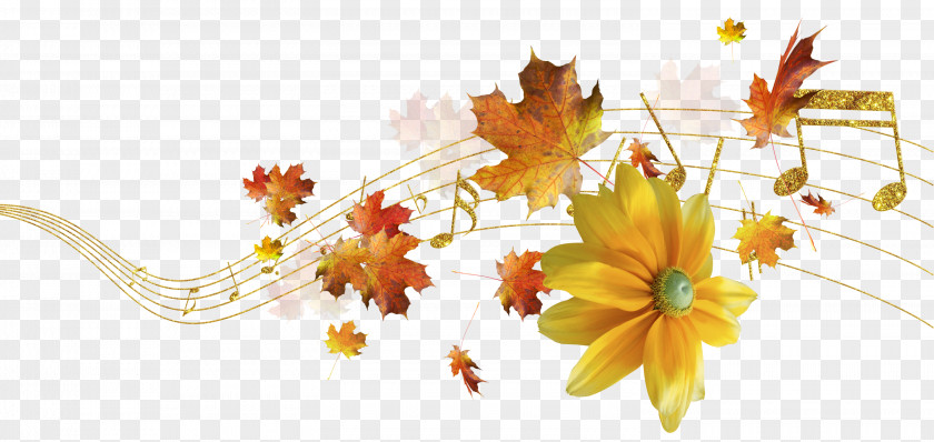 Autumn Flower Floral Design Still Life Photography Clip Art PNG