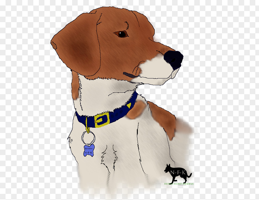 Beagle Lab Mix Dog Breed Puppy Companion Snout PNG