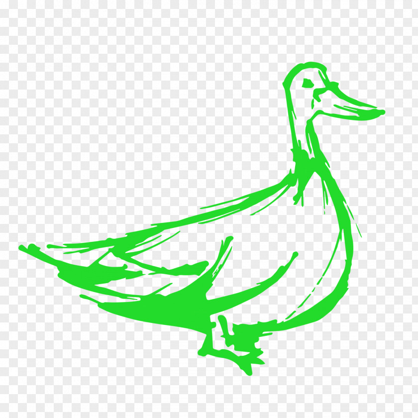 Goose Duck Green Renovations & Construction Architectural Engineering Bird PNG
