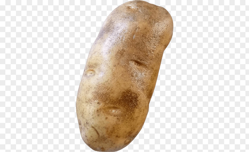 Potato Bag Russet Burbank Yukon Gold Sticker Tuber PNG