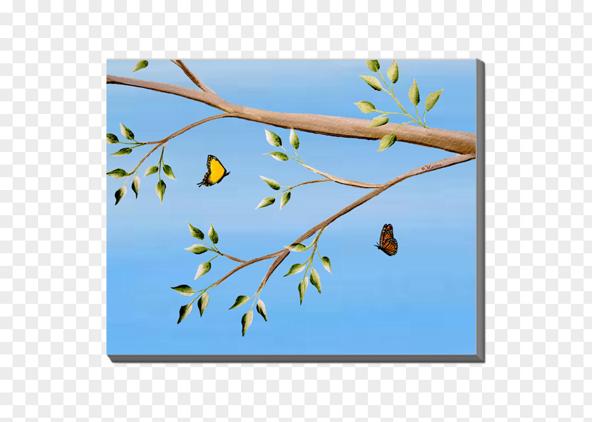 Fluttering Butterflies Throw Pillows Blanket Bird Canvas PNG
