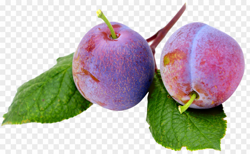 Plums Fruit Plum PNG