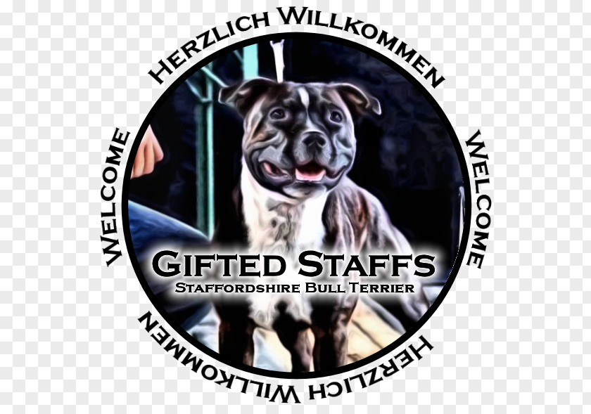 Staffordshire Bull Terrier Dog Breed American Pit Snout PNG