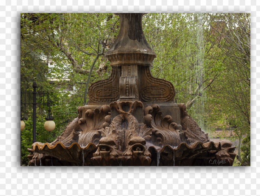 Tree Water Feature PNG