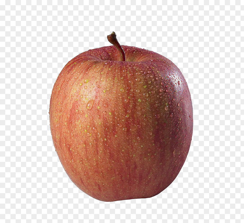 Apple Closeup PNG