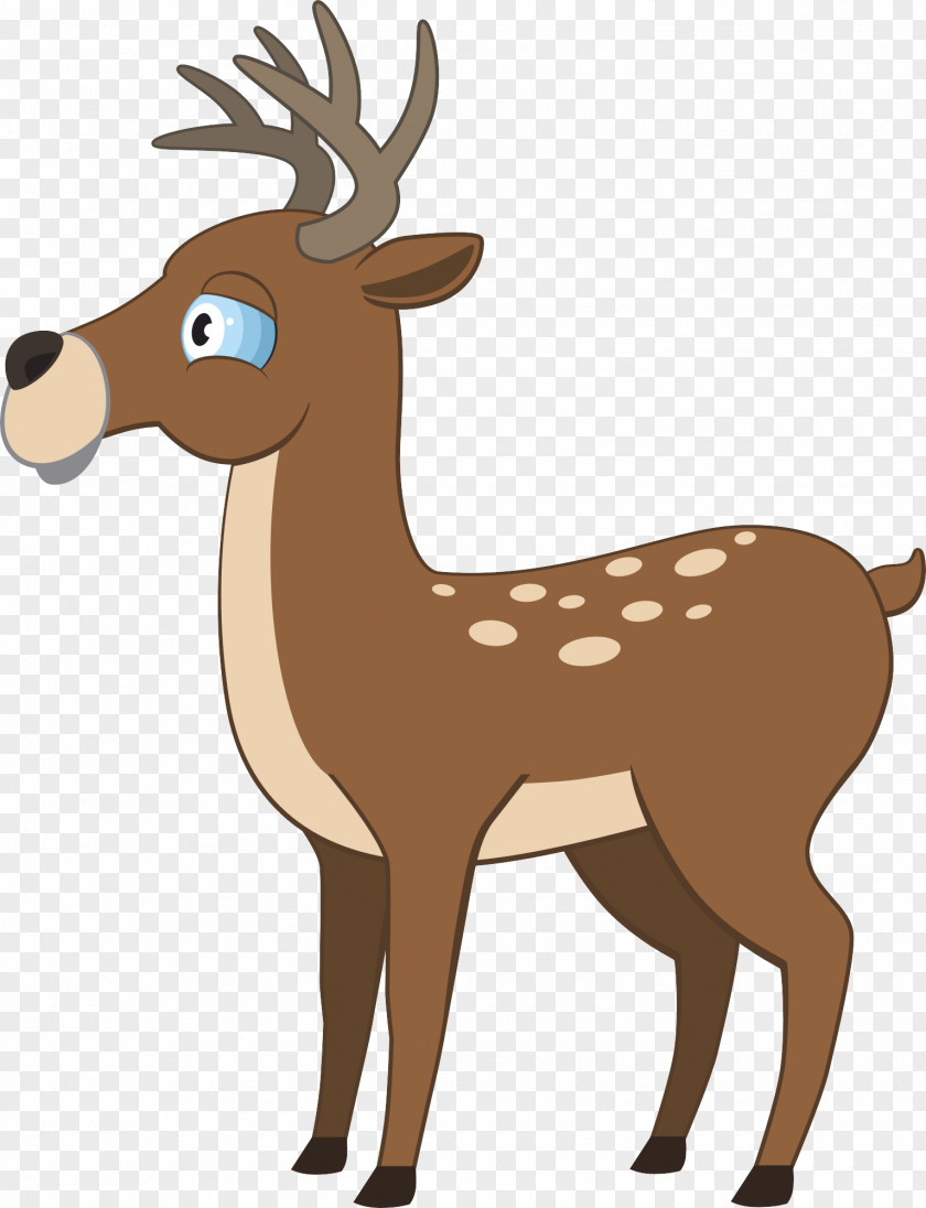 Deer Reindeer Illustration PNG