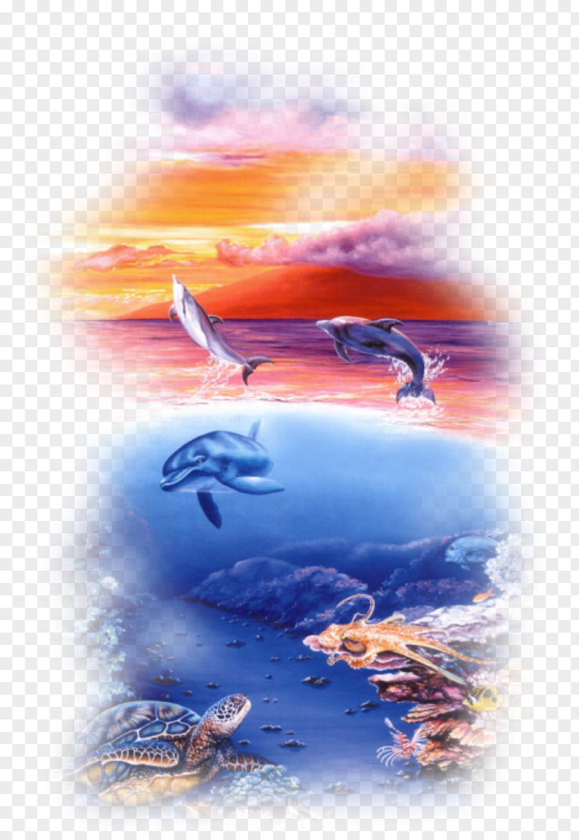 Dolphin Dolphins In The Ocean Oil Painting Art PNG