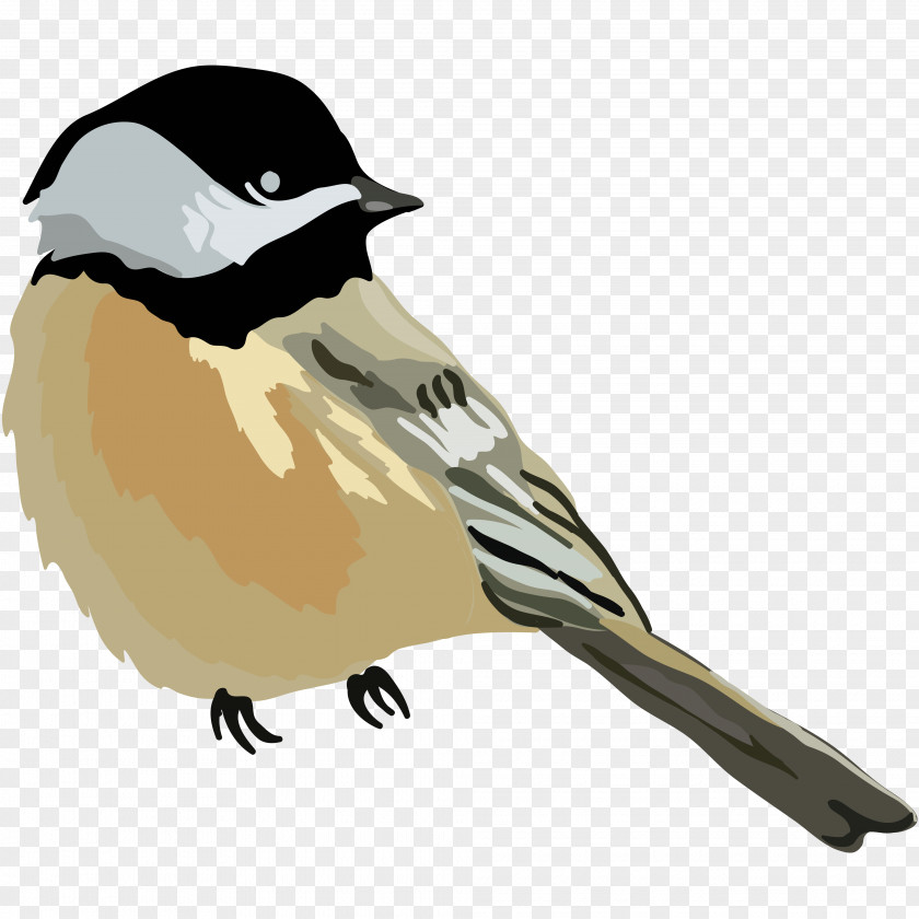 Hand-painted Cartoon Bird Turned House Sparrow Drawing PNG