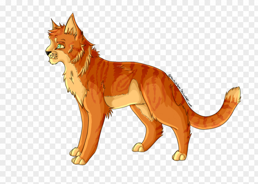 Lion Red Fox Big Cat Terrestrial Animal PNG