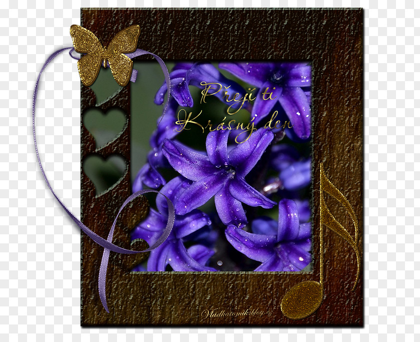 Picture Frames Flowering Plant PNG