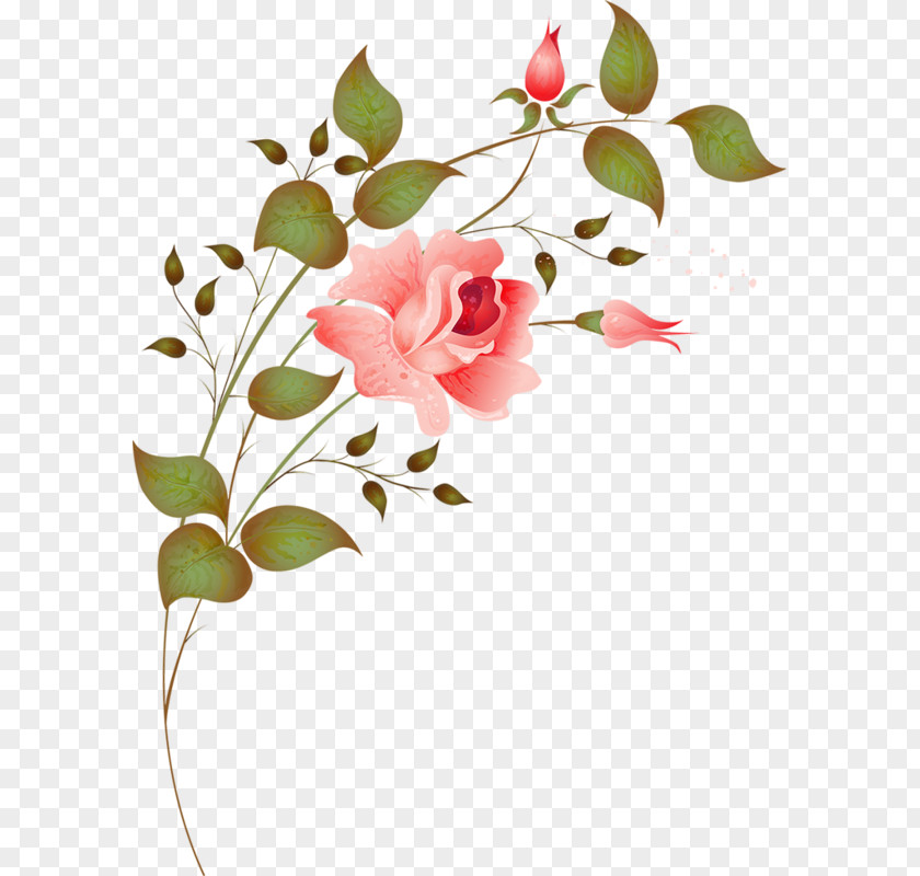 Pink Flower Pattern Vector Floral Design PNG