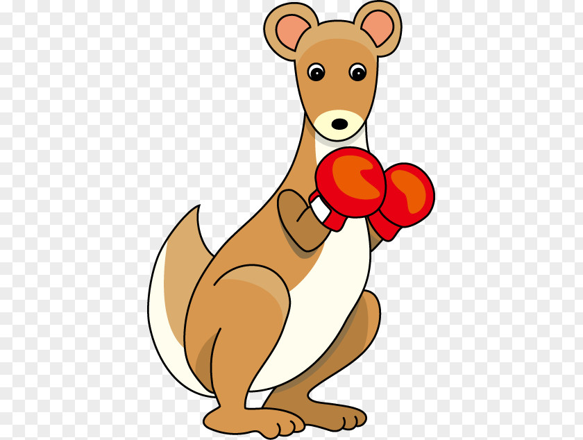 Boxing Kangaroo Meat Mammal Australia Animal PNG