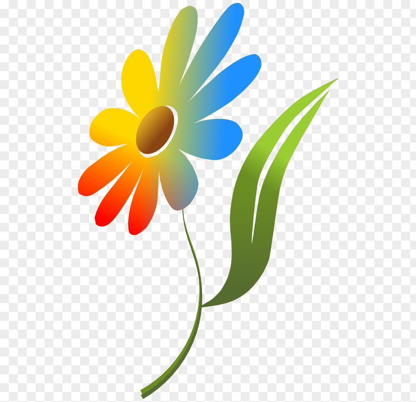 Colors Color Flower Clip Art PNG