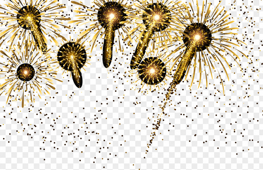 Golden Sparkle Fireworks Light Adobe PNG