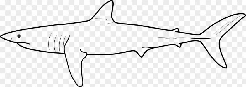 Isurus Oxyrinchus Requiem Sharks Marine Mammal Biology Clip Art PNG