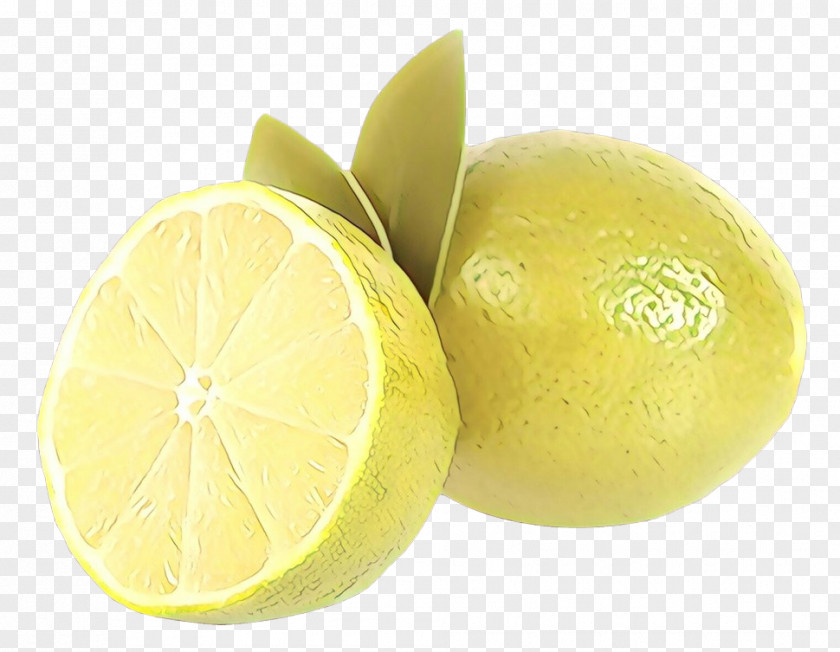 Lemon Persian Lime Citrus Fruit Sweet PNG