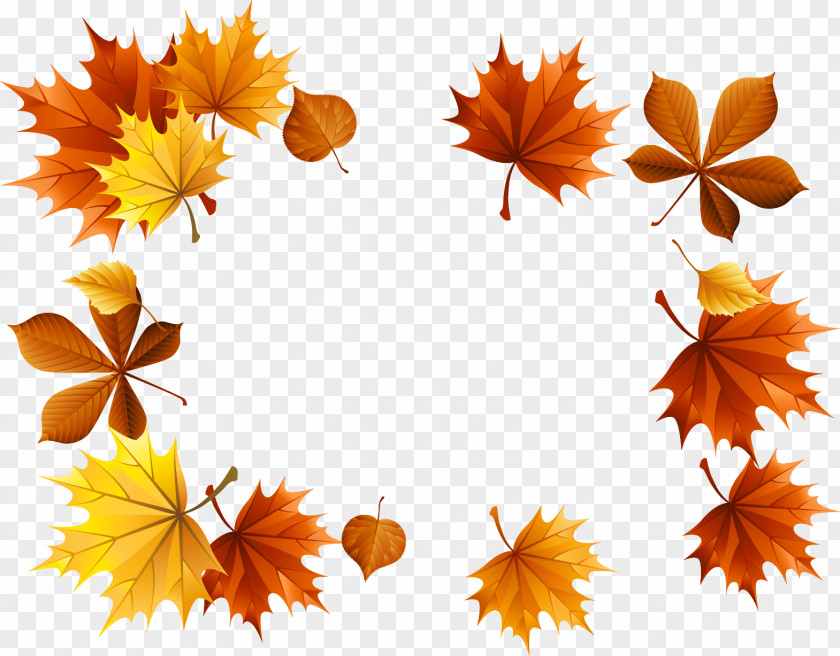 Maple Leaf Autumn Clip Art PNG