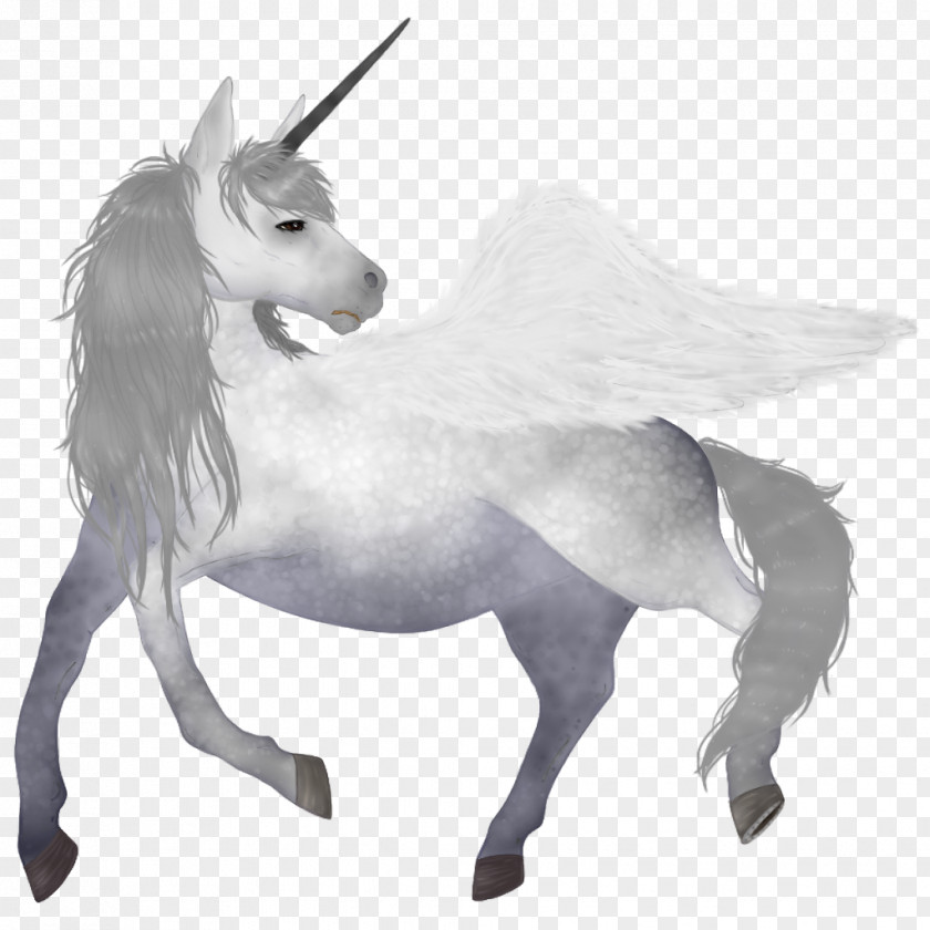 Mustang Unicorn Pack Animal Snout Naturism PNG