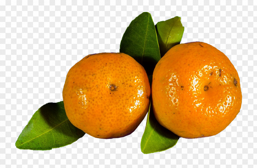 Orange Oranges Juice Clementine Blood Mandarin PNG