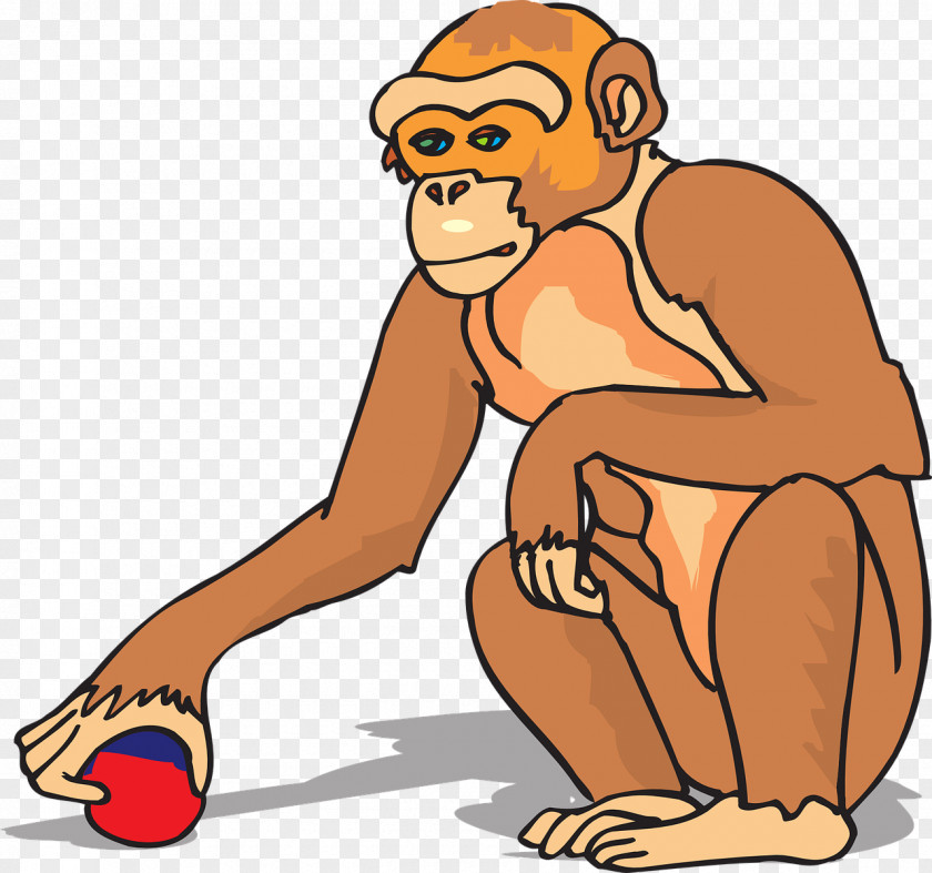 Squatting Monkey Dog Ape Animal Worksheet First Grade PNG