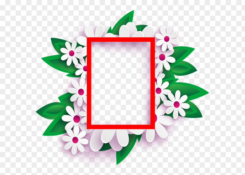 8 Clip Art Image Stock.xchng Photograph Picture Frames PNG