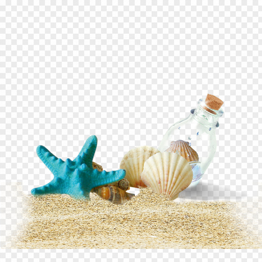 Conch Shell Beach Bottle PNG
